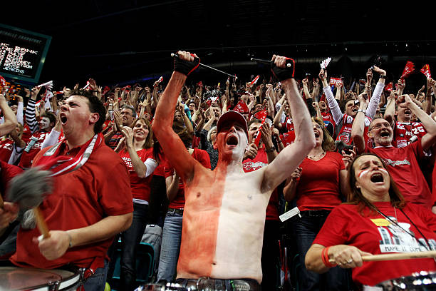 能否效仿成 能否效仿成