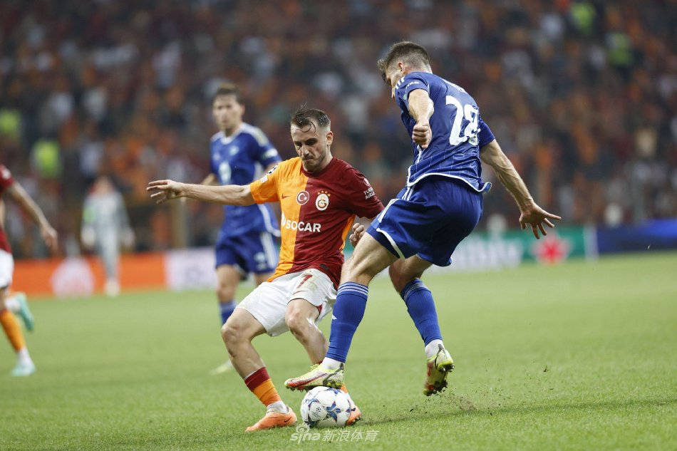 验和战术素 验和战术素